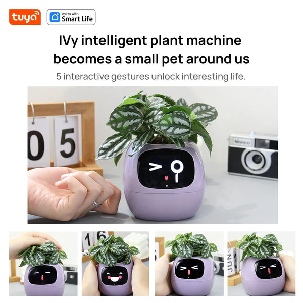 Tuya Ivy Smart Planter,Endless Fun Over 49 Rich Expressions,7 smart sensors,AI Chips Make Raising Plants Easy and Fun Work With Smart Life Store