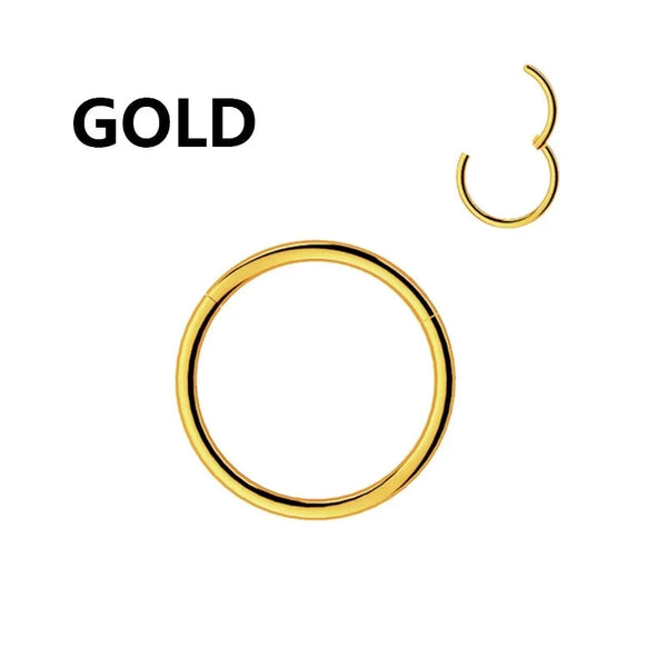 1PC Stainless Steel Nose Hoop Septum Piercing Clicker Hinged Segment Rings Lip Helix Daith Conch Cartilage Earrings Sexy Jewelry Welcome to Bohemia Store