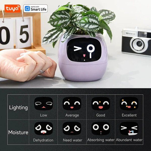 Tuya Ivy Smart Planter,Endless Fun Over 49 Rich Expressions,7 smart sensors,AI Chips Make Raising Plants Easy and Fun Work With Smart Life Store