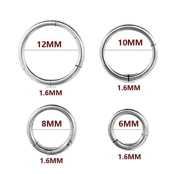 1PC Stainless Steel Nose Hoop Septum Piercing Clicker Hinged Segment Rings Lip Helix Daith Conch Cartilage Earrings Sexy Jewelry Welcome to Bohemia Store