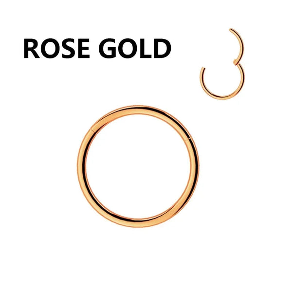 1PC Stainless Steel Nose Hoop Septum Piercing Clicker Hinged Segment Rings Lip Helix Daith Conch Cartilage Earrings Sexy Jewelry Welcome to Bohemia Store