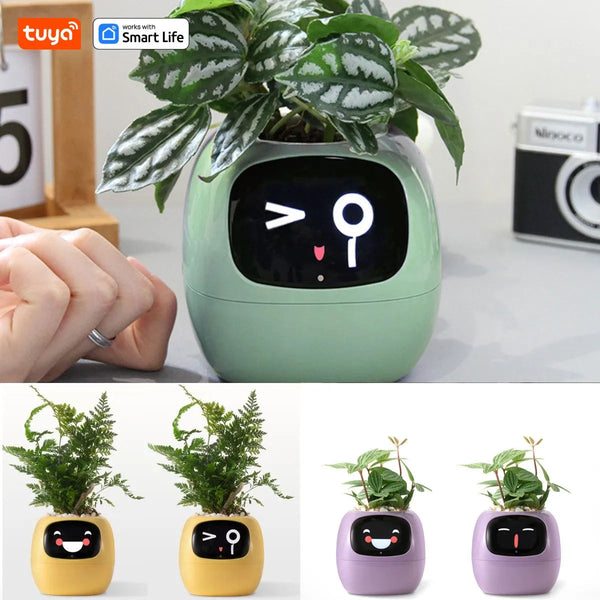 Tuya Ivy Smart Planter,Endless Fun Over 49 Rich Expressions,7 smart sensors,AI Chips Make Raising Plants Easy and Fun Work With Smart Life Store